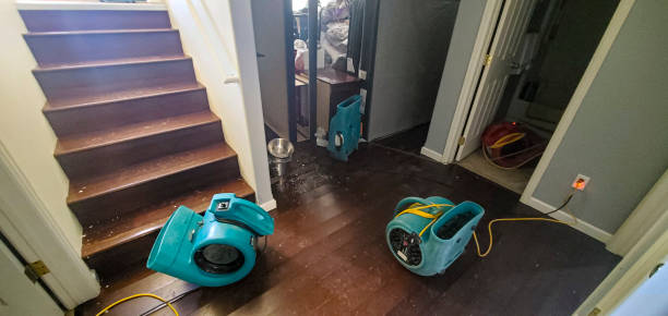 Best Water damage restoration specialists  in Mbria, CA