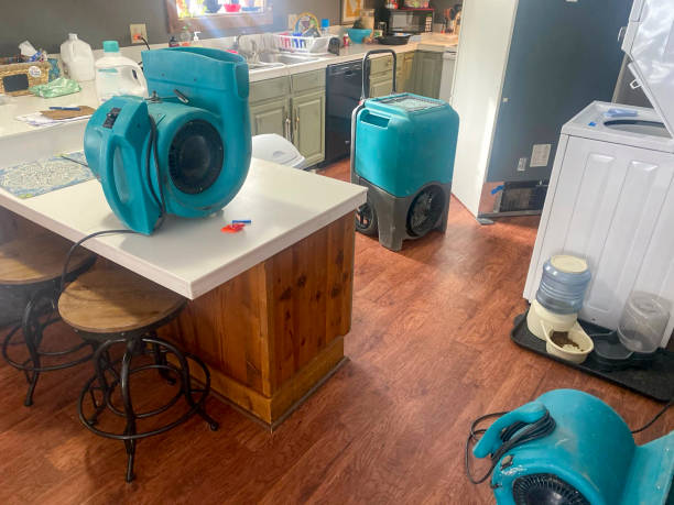 Best 24/7 water damage repair  in Mbria, CA