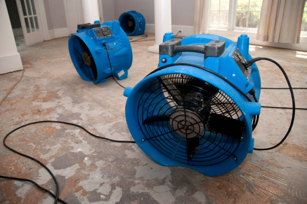 Best 24-hour water damage restoration  in Mbria, CA