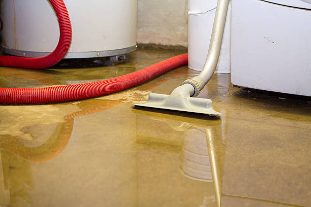 Best Water damage restoration near me  in Mbria, CA