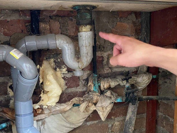 Best Water damage cleanup near me  in Mbria, CA