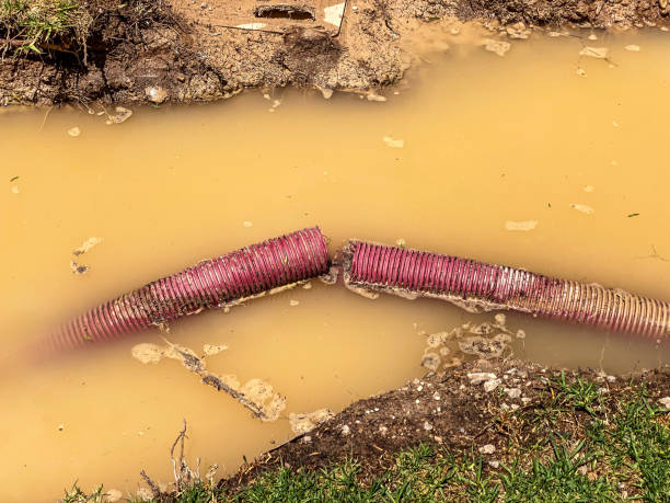 Best Emergency water damage restoration  in Mbria, CA