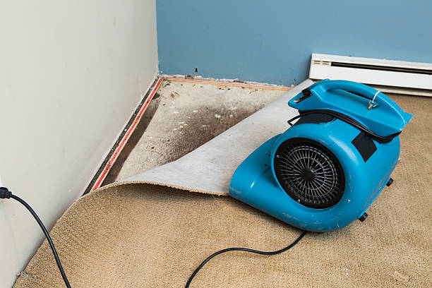 Best Water damage restoration near me  in Mbria, CA